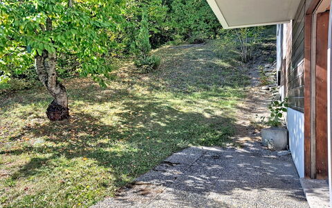 Yuca B Apt. 28: Gras, Grün, Strauch, Garten, Ground, Rasen, Walkway, Hinterhof