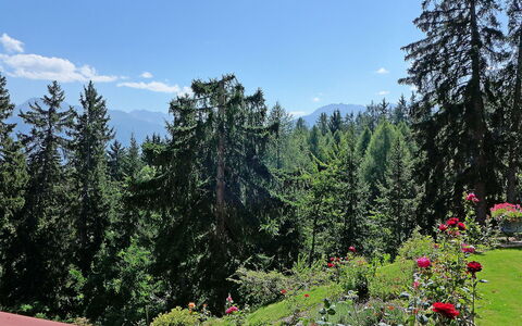 Crans-Montana 353: Natur, Vegetation, Wildnis, Bergforms, Baum, Natürliche Landschaft, Natürlichen Umgebung, Berg, Naturschutzgebiet, Biome