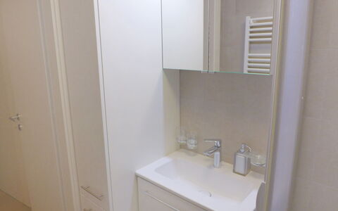 Crans-Montana 450: Sinken, Zapfhahn, Bad Sink, Spiegel, Badezimmer, Armatur, Cabinetry, Badezimmerschrank, Holz, Gebäude