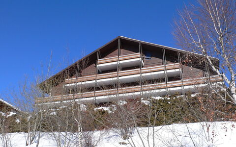 San Giorgio a 12: Himmel, Gebäude, Pflanze, Baum, Steigung, Zweig, Schnee, Haus, Holz, Rechteck