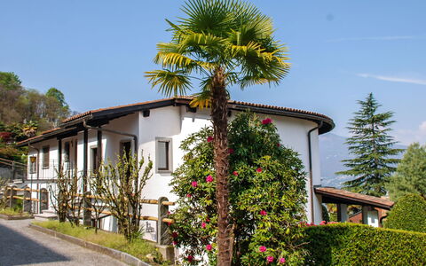 Piazzogna 100: Himmel, Pflanze, Gebäude, Eigentum, Fenster, Baum, Haus, Arecales, Blume, Wand