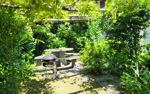 Stellina del Sole: Strauch, Möbel, Tabelle, Pflanzengemeinschaft, Garten, Tisch Im Freien, Gartenmöbel, Schatten, Frühling, Stuhl