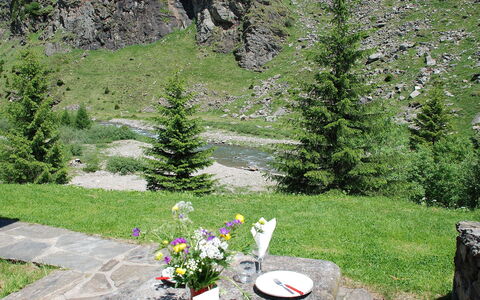 Rustico Dara Cotta: Baum, Natürliche Landschaft, Garten, Gras, Wildnis, Botanik, Frühling, Pflanze, Biome, Blume