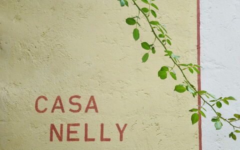 Nelly: Grün, Wand, Pflanze, Blatt, Schriftart, Baum, Ast, Kanu Birke, Blume