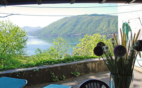 Christa: Eigentum, Botanik, Gras, Haus, Zimmer, Urlaub, Landschaft, Pflanze, Grundeigentum, Restaurant