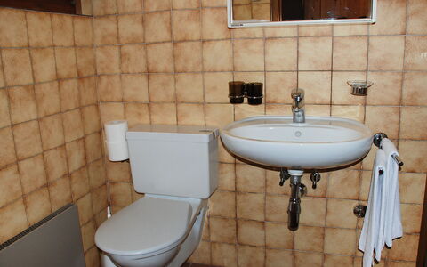 Breganzona 100: Badezimmer, Toilette, Eigentum, Armatur, Wand, Zapfhahn, Zimmer, Fliese, Toilleten Sitz, Bad Zubehör