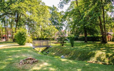 Caslano 100: Baum, Blatt, Gras, Natur, Grün, Ast, Strauch, Garten, Rasen, Frühling