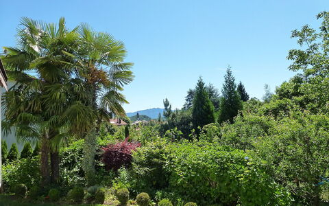 Ar Ronchée N° 9: Vegetation, Baum, Botanischer Garten, Garten, Palme, Eigentum, Natürlichen Umgebung, Biome, Botanik, Pflanze