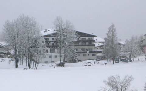 Apt. 13: Schnee, Winter, Weiss, Einfrieren, Baum, Atmosphärisches Phänomen, Zuhause, Schneesturm, Haus