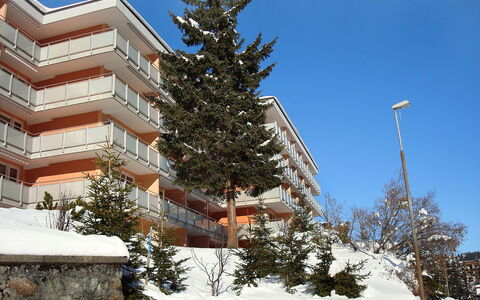 Arosa 100: Himmel, Pflanze, Gebäude, Schnee, Ast, Lärche, Baum, Immergrün, Urban Design
