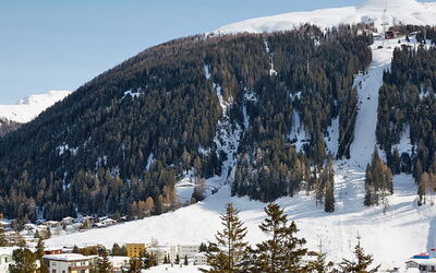 Davos 400