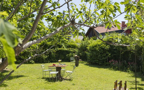 Blanca: Möbel, Meer, Stuhl, Schatten, Balkon, Gartenmöbel, Eco Hotel, Küste, Deck, Holzbeize