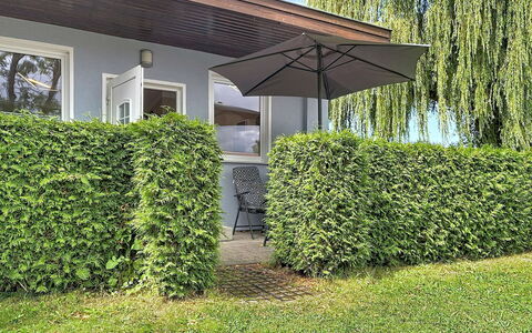 Goetheallee: Strauch, Hecke, Ground, Garten, Schatten, Immergrün, Landscaping, Hinterhof, Plantage