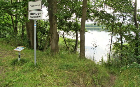 Goetheallee: Himmel, Eigentum, Pflanze, Baum, Gebäude, Grundstueck, Steigung, Schatten, Asphalt, Holz