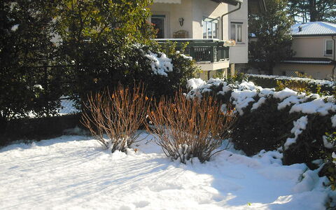 Villa Esperia: Schnee, Winter, Zuhause, Eigentum, Einfrieren, Haus, Baum, Garten, Grundeigentum, Gras