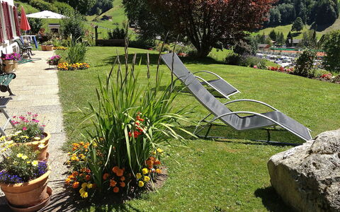 Grindelwald 255: Pflanze, Blume, Pflanzengemeinschaft, Baum, Botanik, Blatt, Blumentopf, Gras, Gartenmöbel, Biome