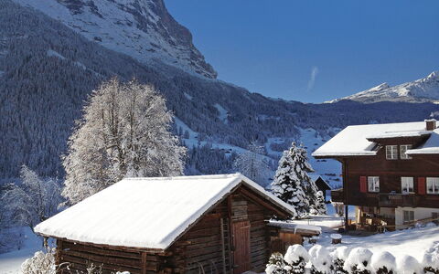Grindelwald 255: Himmel, Schnee, Berg, Eigentum, Gebäude, Natur, Steigung, Baum, Haus, Fenster