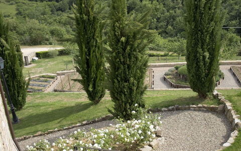 La Maccinaia 14: Baum, Gras, Botanik, Garten, Haus, Die Architektur, Landschaft, Landscaping, Pflanze, Gebäude