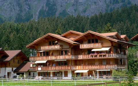 Studio Schweizerhof: Pflanze, Gebäude, Eigentum, Berg, Baum, Natürliche Landschaft, Holz, Grundstueck, Haus, Freizeit