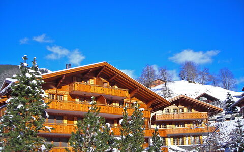 Grindelwald 260: Himmel, Wolke, Gebäude, Fenster, Schnee, Blau, Haus, Ast, Baum, Steigung