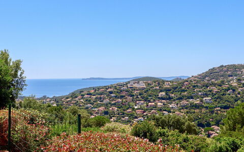 Le Cap: Blume, Himmel, Pflanze, Natürliche Landschaft, Baum, Vegetation, Berg, Wasser, Landschaft, Horizont