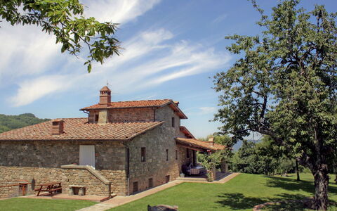 Greve in Chianti 840: Eigentum, Haus, Baum, Gebäude, Hütte, Himmel, Ländliches Gebiet, Bauernhaus, Die Architektur, Zuhause