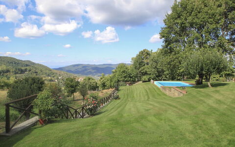 Greve in Chianti 840: Wolke, Himmel, Pflanze, Berg, Natürliche Landschaft, Baum, Grundstueck, Gras, Landschaft, Wiese