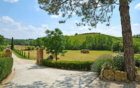 Il Vallone: Natur, Eigentum, Baum, Himmel, Gras, Grundeigentum, Garten, Estate, Botanik, Zuhause