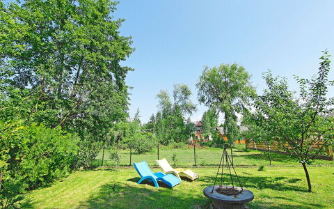 Cyklamen: Baum, Grün, Eigentum, Natürliche Landschaft, Gras, Grundeigentum, Botanik, Garten, Gehölz, Grundstueck