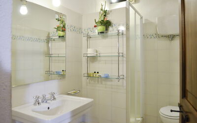 Mimosa: Spiegel, Armatur, Eigentum, Sinken, Zapfhahn, Grün, Badezimmer, Bad Sink, Blau, Lila