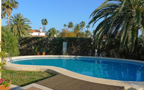 El Paradiso: Schwimmbad, Eigentum, Grundeigentum, Zuhause, Haus, Urlaub, Hinterhof, Palme, Baum, Resort