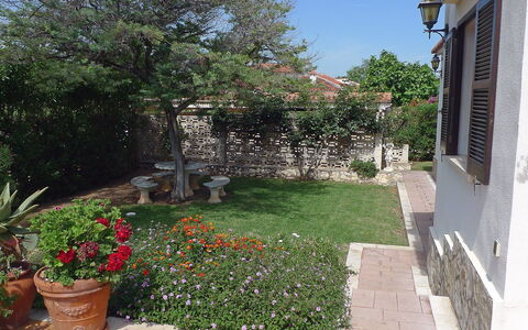 El Paradiso: Eigentum, Garten, Garten, Haus, Grundeigentum, Hinterhof, Zuhause, Wohngebiet, Gebäude, Landschaft