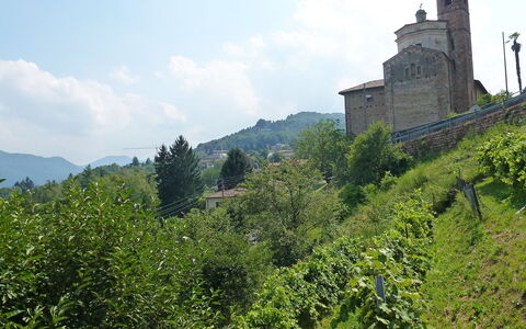 Al Ronchetto: Vegetation, Schloss, Bergstation, Hügel, Baum, Hochland, Berg, Tourismus, Gebäude