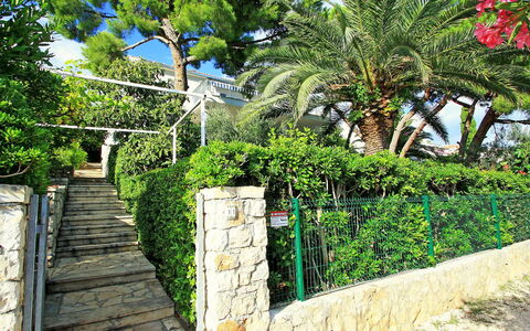 Amiela: Vegetation, Eigentum, Baum, Wand, Walkway, Botanik, Grundeigentum, Garten, Pflanze, Haus