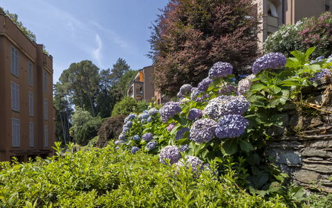 Residenza del Pascià: Grün, Blatt, Vegetation, Strauch, Pflanzengemeinschaft, Garten, Ground, Frühling, Landscaping, Eigentumswohnung