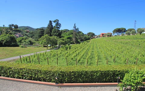 Sestri Levante 200: Himmel, Plantage, Strauch, Wildnis, Hochland, Bergstation, Garten, Botanik, Gras, Grundstueck