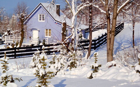 Niebieski: Gebäude, Schnee, Pflanze, Fenster, Himmel, Zweig, Haus, Ast, Natürliche Landschaft, Die Architektur