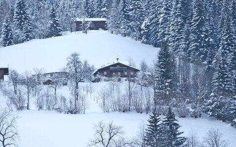 Oberhaslach: Schnee, Winter, Baum, Einfrieren, Atmosphärisches Phänomen, Frost, Bergstation, Zuhause, Geologisches Phänomen