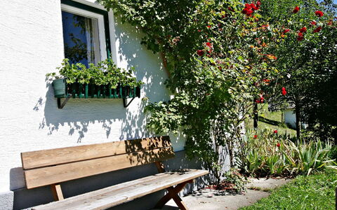 Oberhaslach: Bank, Blume, Pflanze, Möbel, Botanik, Baum, Haus, Tabelle, Außenbank, Garten