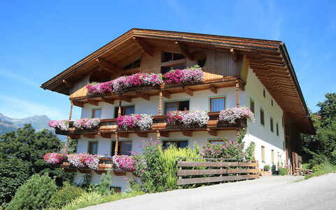 Kaltenbach 610: Pflanze, Himmel, Gebäude, Fenster, Blume, Baum, Haus, Holz, Fassade, Landschaft