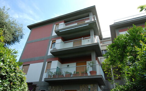 Riviera Massa: Pflanze, Gebäude, Himmel, Fenster, Baum, Vegetation, Haus, Holz, Urban Design, Wohngebiet