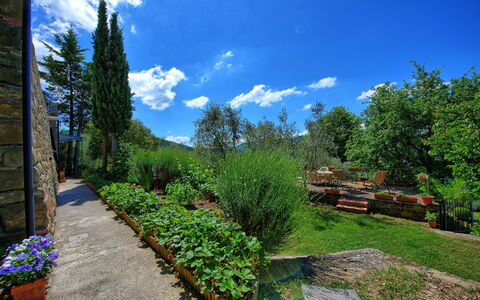 Panzalla: Garten, Natur, Eigentum, Natürliche Landschaft, Vegetation, Blau, Himmel, Botanischer Garten, Baum, Grundeigentum