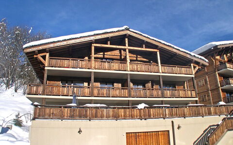 Ovronnaz 176: Himmel, Fenster, Gebäude, Schnee, Holz, Haus, Steigung, Baum, Fassade, Dach