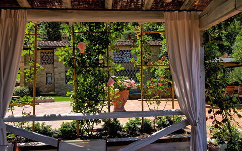 Villa Petrognano: Eigentum, Pergola, Botanik, Haus, Baum, Gebäude, Die Architektur, Pflanze, Garten, Zuhause