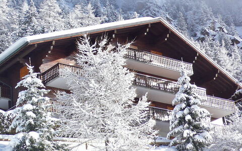 Champex 195: Schnee, Gebäude, Eigentum, Pflanze, Fenster, Haus, Baum, Berg, Steigung, Hütte