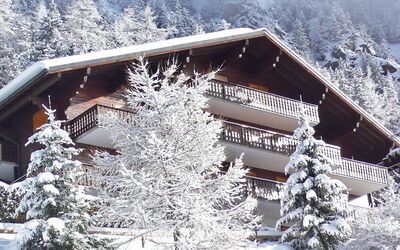 Champex 195: Schnee, Gebäude, Eigentum, Pflanze, Fenster, Haus, Baum, Berg, Steigung, Hütte
