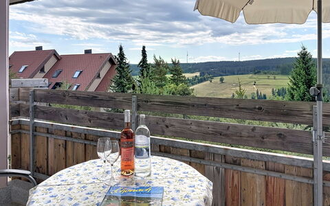 Schonach 125: Möbel, Stuhl, Gartenmöbel, Balkon, Tisch Im Freien, Küche & Esszimmer Tisch, Schatten, Zimmerpflanze, Kaffetisch, Terrasse