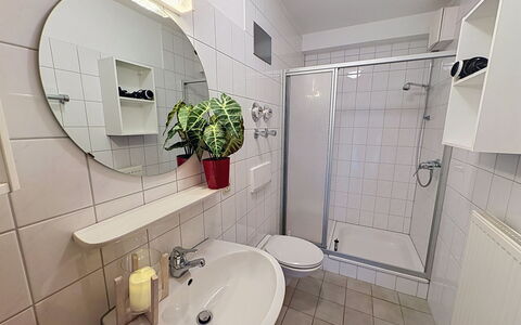 Schonach 125: Armatur, Installation, Zapfhahn, Sinken, Bad Sink, Badezimmer, Hotel, Zimmerpflanze