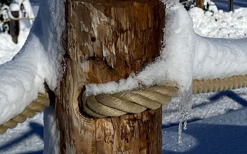 Sankt Margarethen im Lungau 120: Schnee, Pflanze, Holz, Ast, Zweig, Kofferraum, Biome, Einfrieren, Natürliche Landschaft, Baum