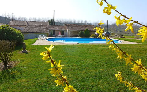 La Grangette: Gelb, Pflanze, Gras, Blume, Frühling, Garten, Baum, Rasen, Landschaft, Wild